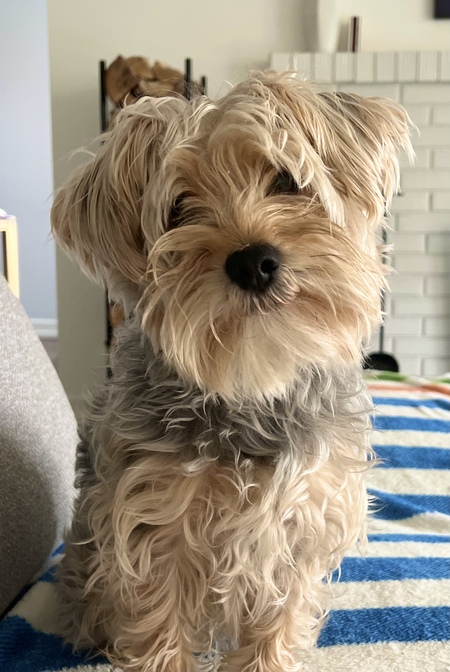 Entry image for Kyoto. Clicking this image will show a larger photo