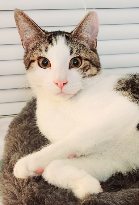 Entry image for Timothy. Clicking this image will show a larger photo