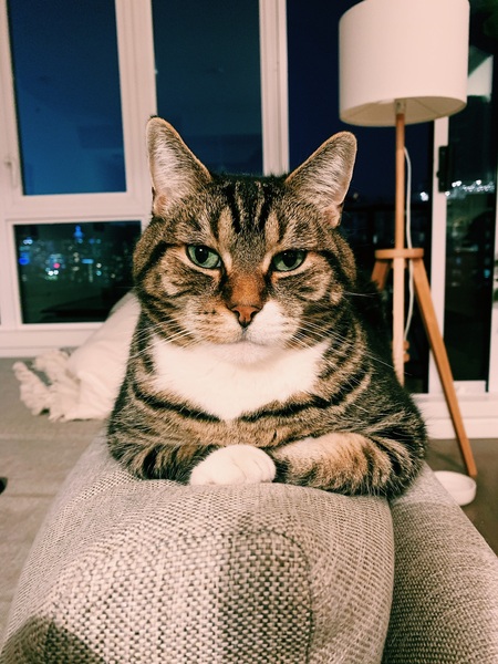 Entry image for Charlie. Clicking this image will show a larger photo