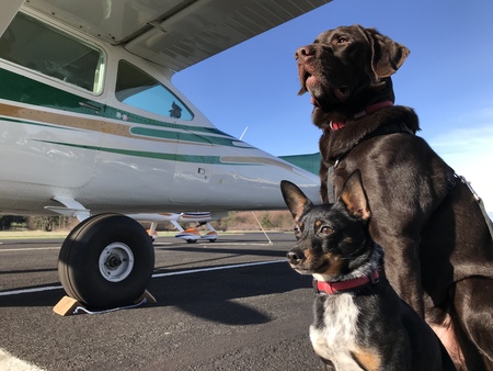 Entry image for Hawker & Wilson. Clicking this image will show a larger photo