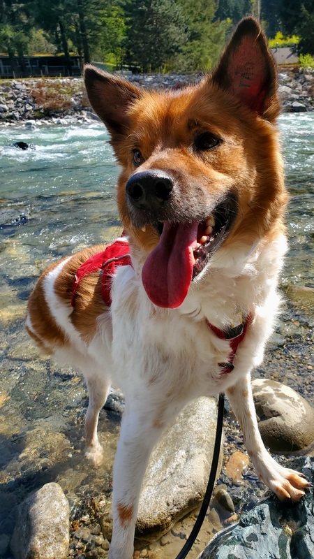 Entry image for Harbin. Clicking this image will show a larger photo