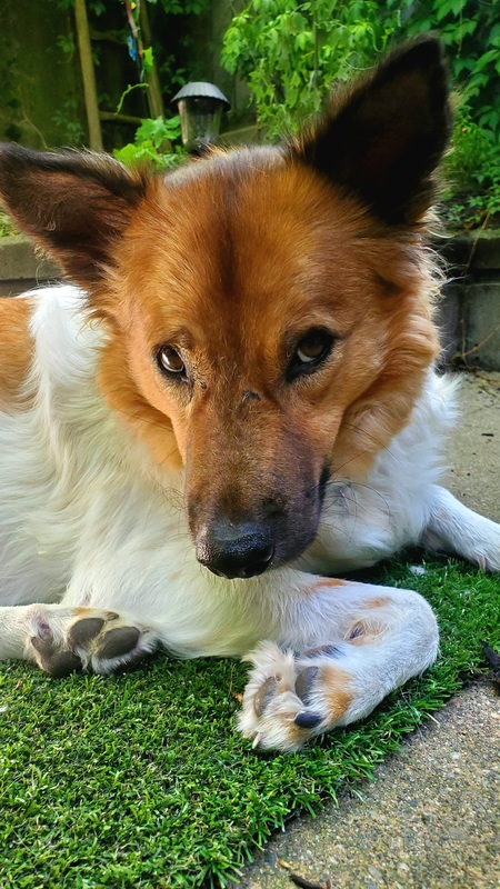 Entry image for Harbin. Clicking this image will show a larger photo