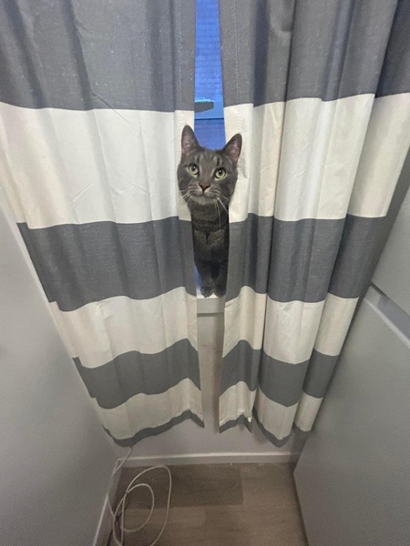 Entry image for Jasper . Clicking this image will show a larger photo