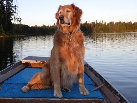 Entry image for Talia. Clicking this image will show a larger photo