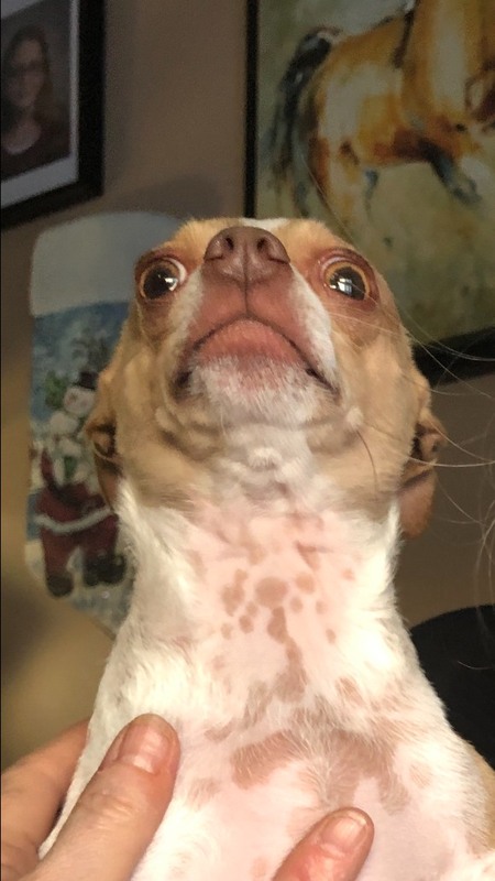 Entry image for Carlos. Clicking this image will show a larger photo