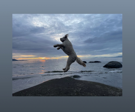 Entry image for Dolly Pawton . Clicking this image will show a larger photo