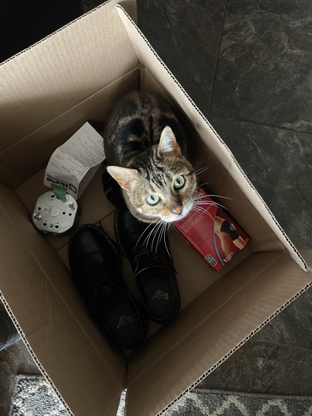 Entry image for Marble. Clicking this image will show a larger photo