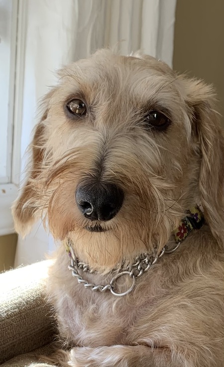 Entry image for Sunshine. Clicking this image will show a larger photo