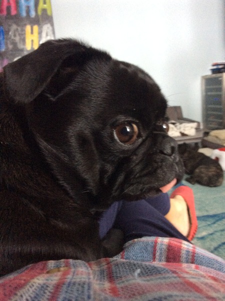 Entry image for Boulez Mansz Burrows. Clicking this image will show a larger photo