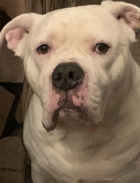 Entry image for MaxX. Clicking this image will show a larger photo