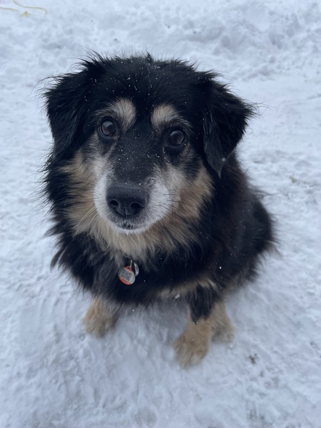 Entry image for Madeline. Clicking this image will show a larger photo