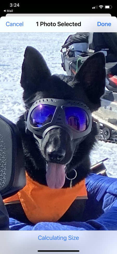 Entry image for Heli. Clicking this image will show a larger photo