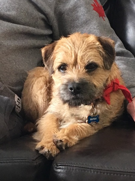 Entry image for Rufus . Clicking this image will show a larger photo