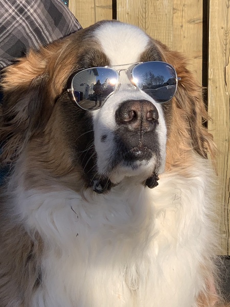 Entry image for Bekka. Clicking this image will show a larger photo