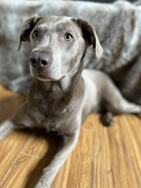 Entry image for River. Clicking this image will show a larger photo