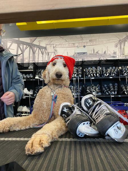 Entry image for Bentley. Clicking this image will show a larger photo