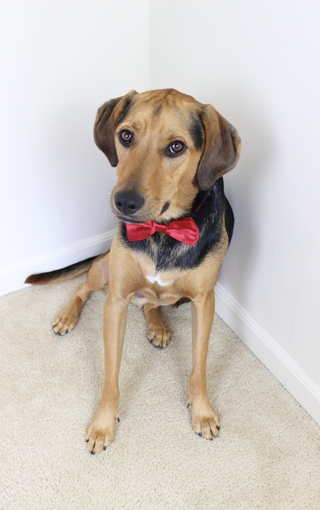 Entry image for Oliver. Clicking this image will show a larger photo