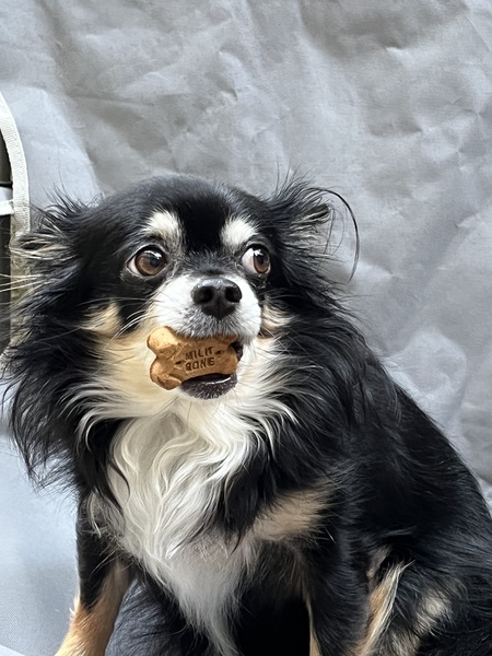 Entry image for Hops. Clicking this image will show a larger photo