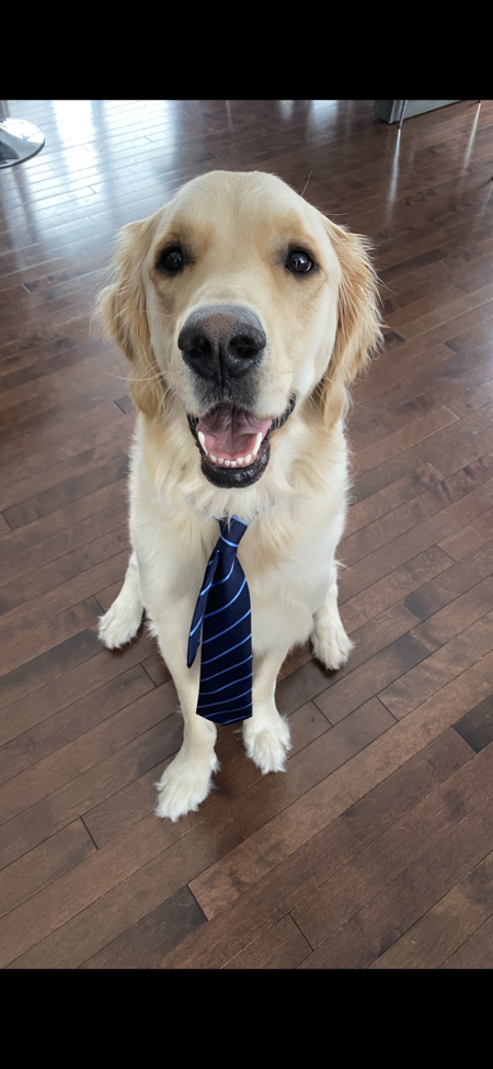 Entry image for Covy. Clicking this image will show a larger photo