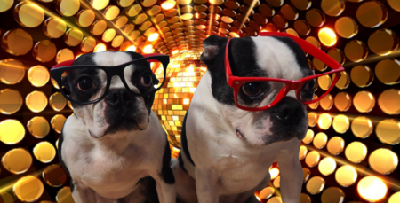 Entry image for Kumba and Kidogo. Clicking this image will show a larger photo