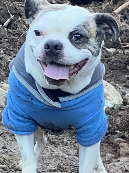 Entry image for Hero. Clicking this image will show a larger photo