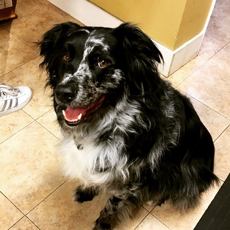 Entry image for Zero. Clicking this image will show a larger photo