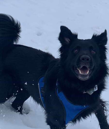 Entry image for Chase. Clicking this image will show a larger photo