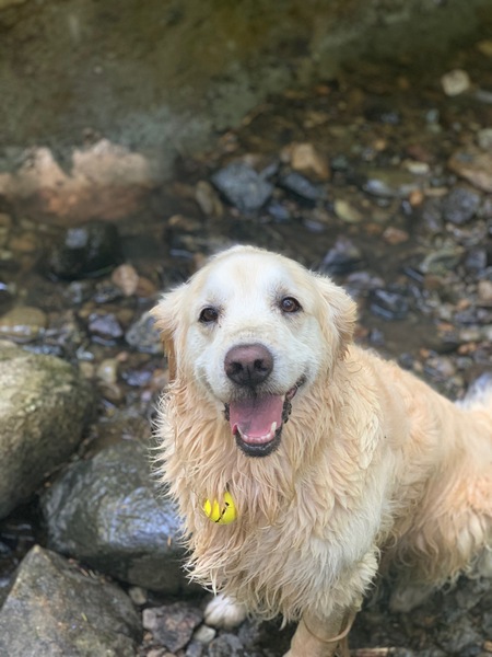 Entry image for Kali. Clicking this image will show a larger photo