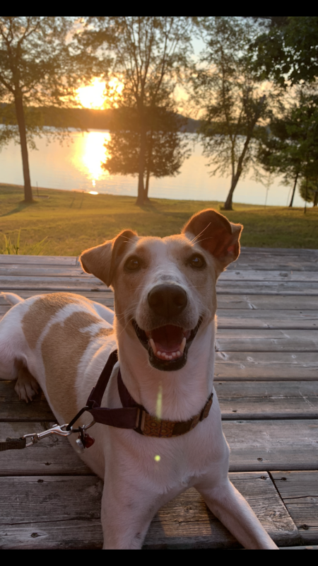 Entry image for Deborah. Clicking this image will show a larger photo