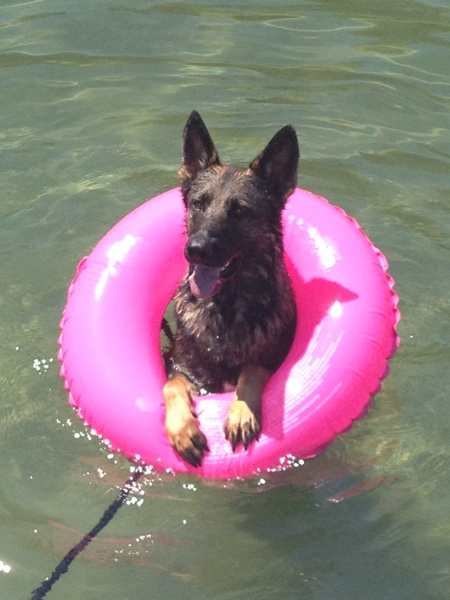 Entry image for Gabby. Clicking this image will show a larger photo