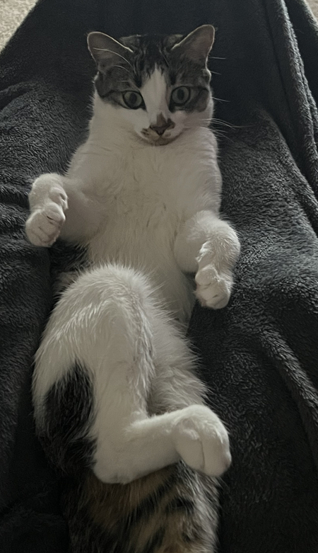 Entry image for Ary. Clicking this image will show a larger photo