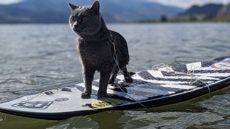 Entry image for Nitro “Storm”. Clicking this image will show a larger photo