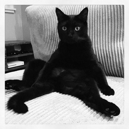 Entry image for Shadow. Clicking this image will show a larger photo