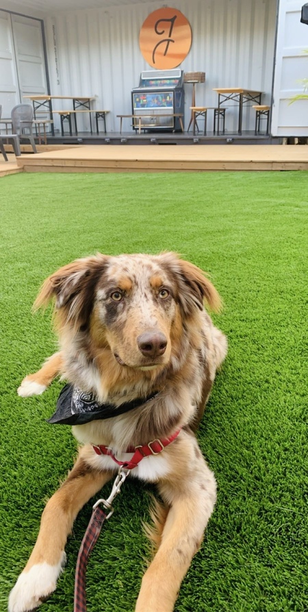 Entry image for Bauer. Clicking this image will show a larger photo