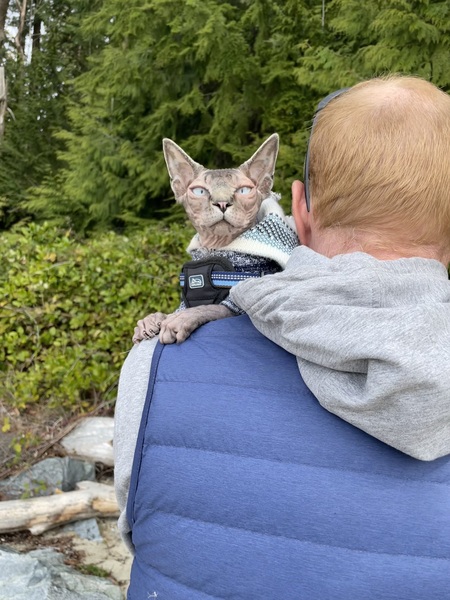 Entry image for Augustus. Clicking this image will show a larger photo