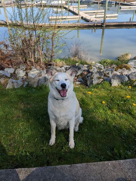 Entry image for Cana. Clicking this image will show a larger photo