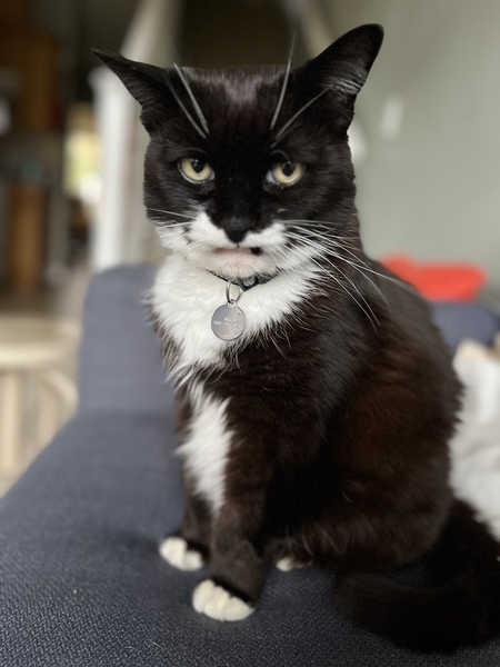 Entry image for Max. Clicking this image will show a larger photo