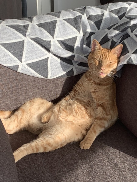 Entry image for Jesse Katsopolis. Clicking this image will show a larger photo