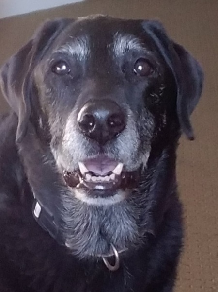 Entry image for Oakley. Clicking this image will show a larger photo