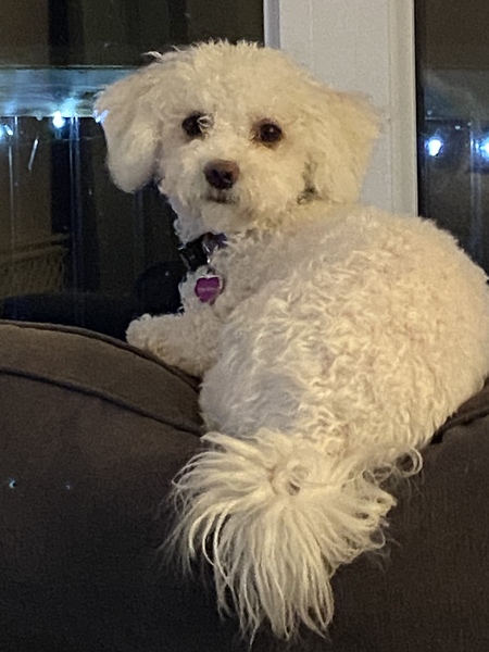 Entry image for Mac McCulley. Clicking this image will show a larger photo