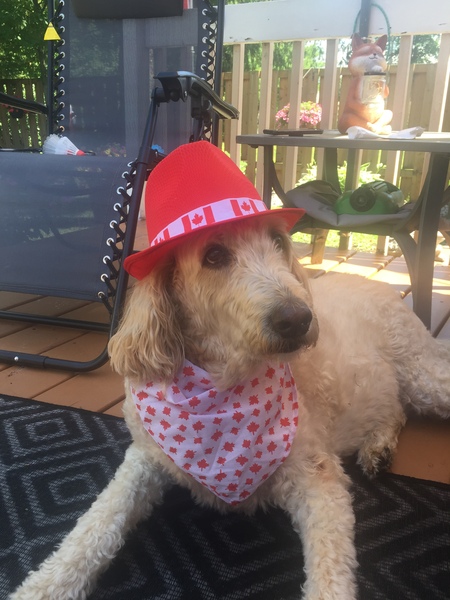 Entry image for Delila. Clicking this image will show a larger photo