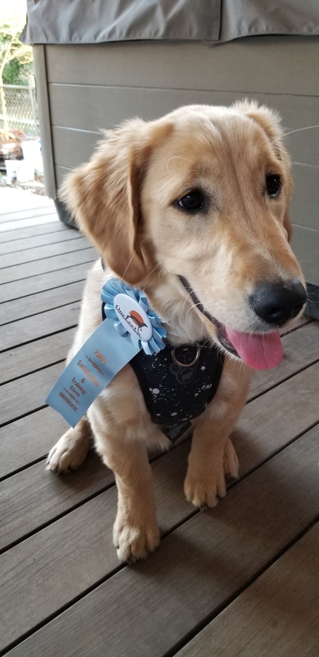 Entry image for Scout Olivia . Clicking this image will show a larger photo