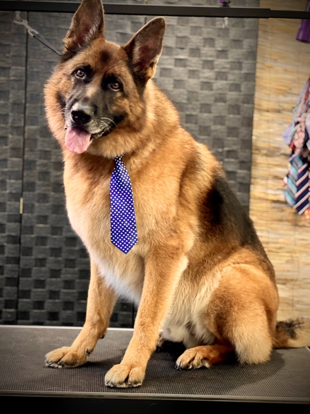 Entry image for Jackson . Clicking this image will show a larger photo