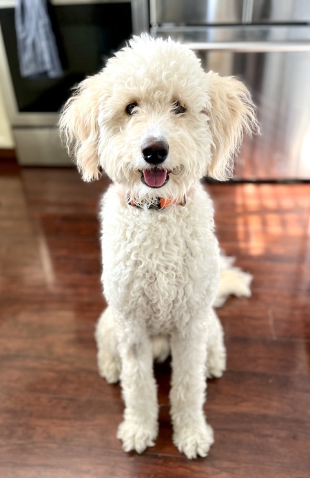 Entry image for Crosby . Clicking this image will show a larger photo