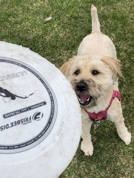 Kona