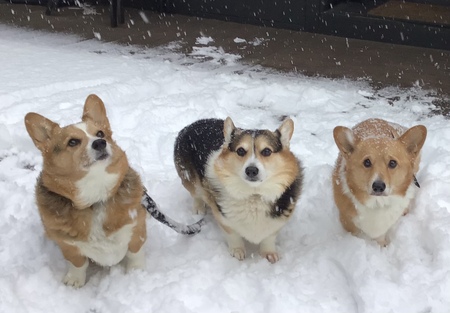 Kenzo and Drayden and Shamus