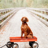 Entry image for Red 
