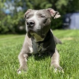Entry image for Roxy