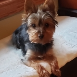Entry image for Jack