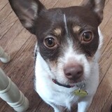 Entry image for Charlie